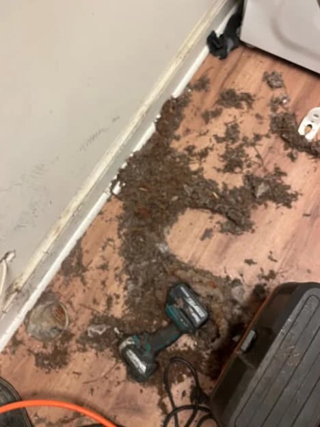 Lint and debris pulled out of a clogged dryer vent