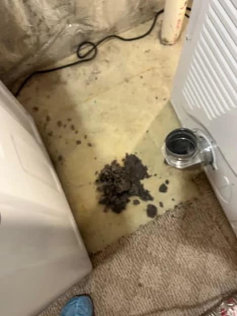 Pile of lint removed from a dryer vent next to the dryer
